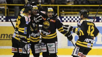 Litvínovská radost