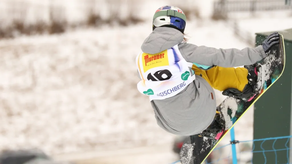 Šárka Pančochová