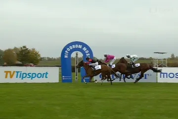 Cena zimního favorita