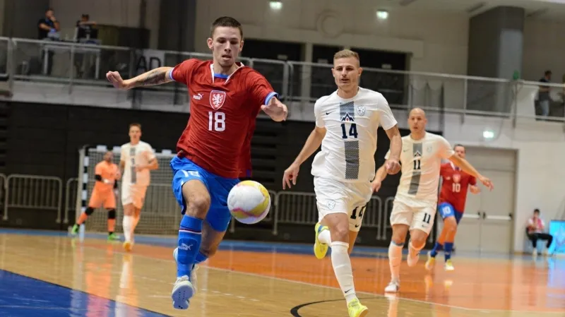 Sestřih utkání Slovinsko – Česko