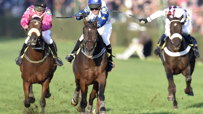 Ribelino a Nikas bojují v cílové rovině Velké pardubické v roce 2015