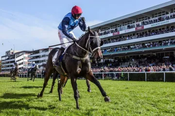 Dostihy v Pardubicích