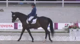 Jezdkyně Vištalová si v Tokiu splnila sen, finále jí ale uniklo