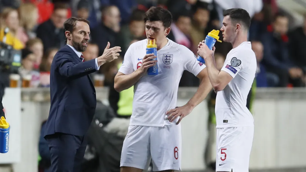 Gareth Southgate v zápase proti Česku
