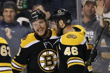 David Pastrňák a David Krejčí