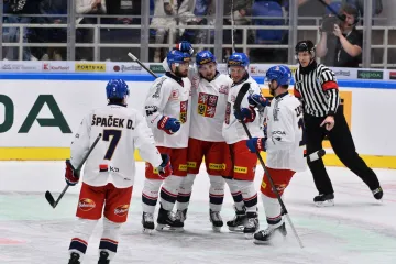 Český národní tým