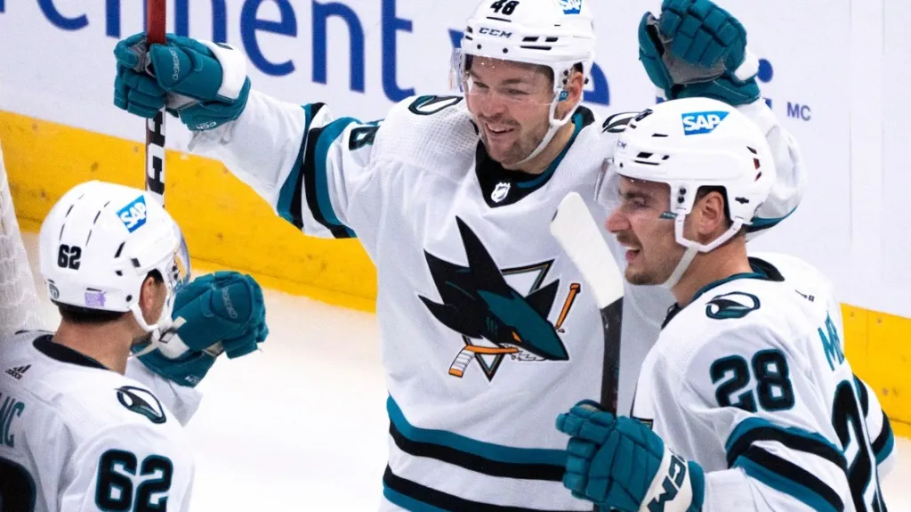 Tomáš Hertl slaví gól