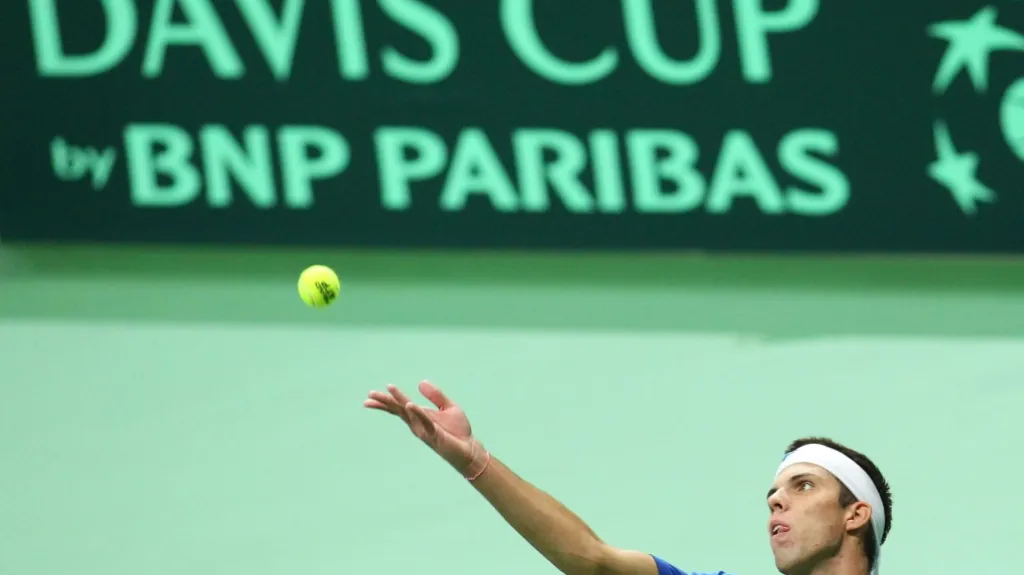 Jiří Veselý v Davis Cupu