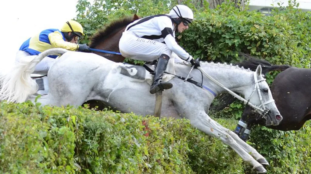 Kvalifikace na Velkou pardubickou