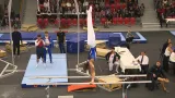 Gymnasta