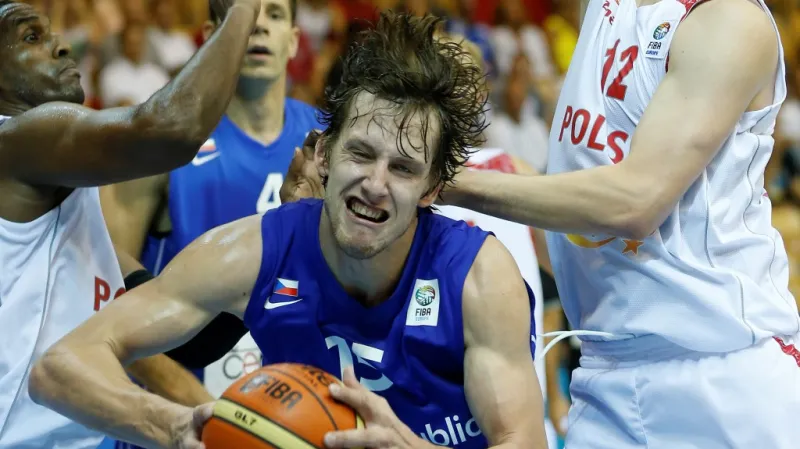 Jan Veselý v zápase proti Polsku