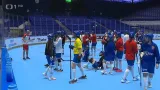 České hokejbalistky