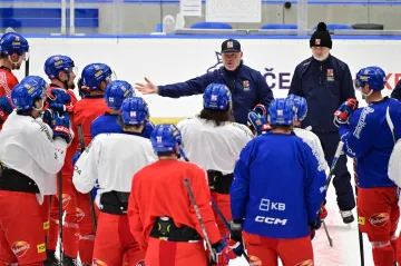 Reprezentační trenér Radim Rulík promlouvá k hráčům