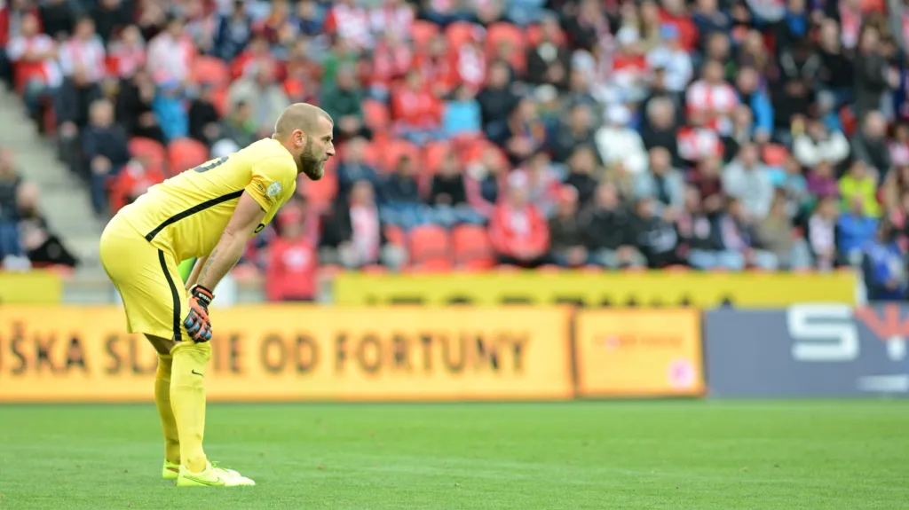 Brankář Sparty David Bičík