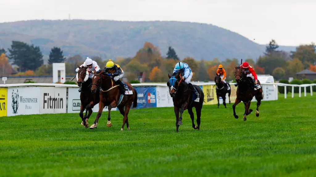 Cena prezidenta republiky 2024