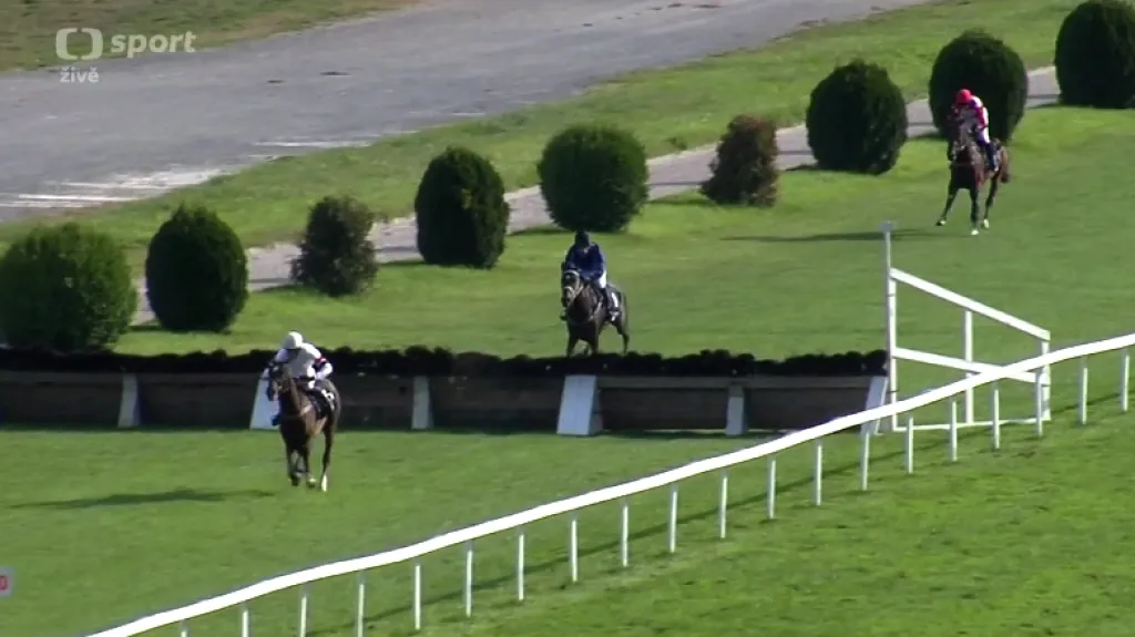 Famous Valley s obrovským náskokem vyhrála Zlatý pohár