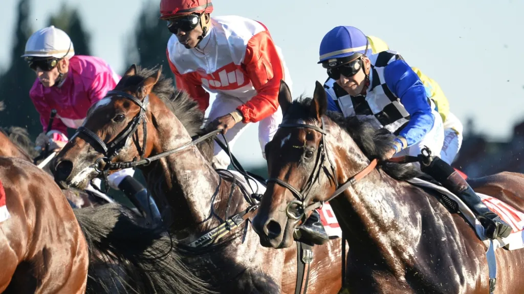 Devětadevadesáté České derby se blíží