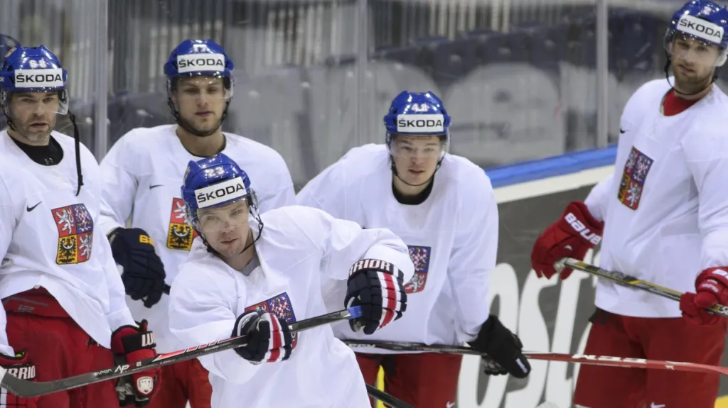 Čeští hokejisté na rozbruslení