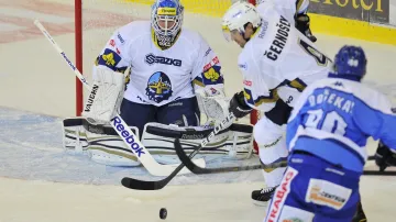 Utkání Kometa Brno - Rytíři Kladno