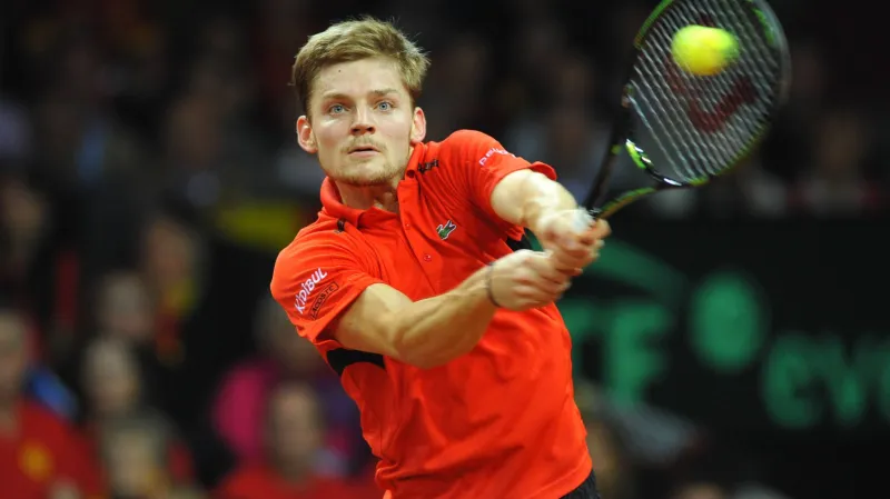 David Goffin