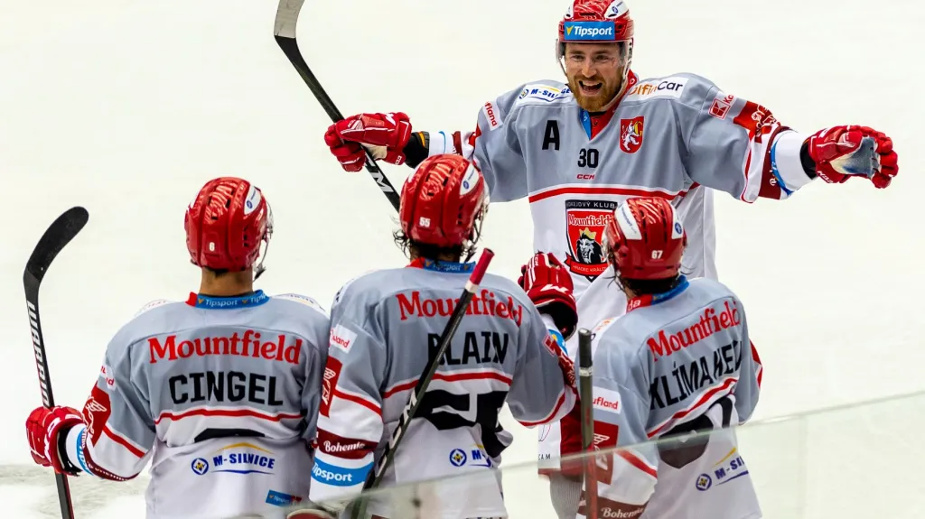 Radost hokejistů Hradce Králové