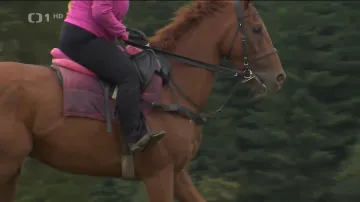 Chelmsford bude jedním z favoritů Velké pardubické