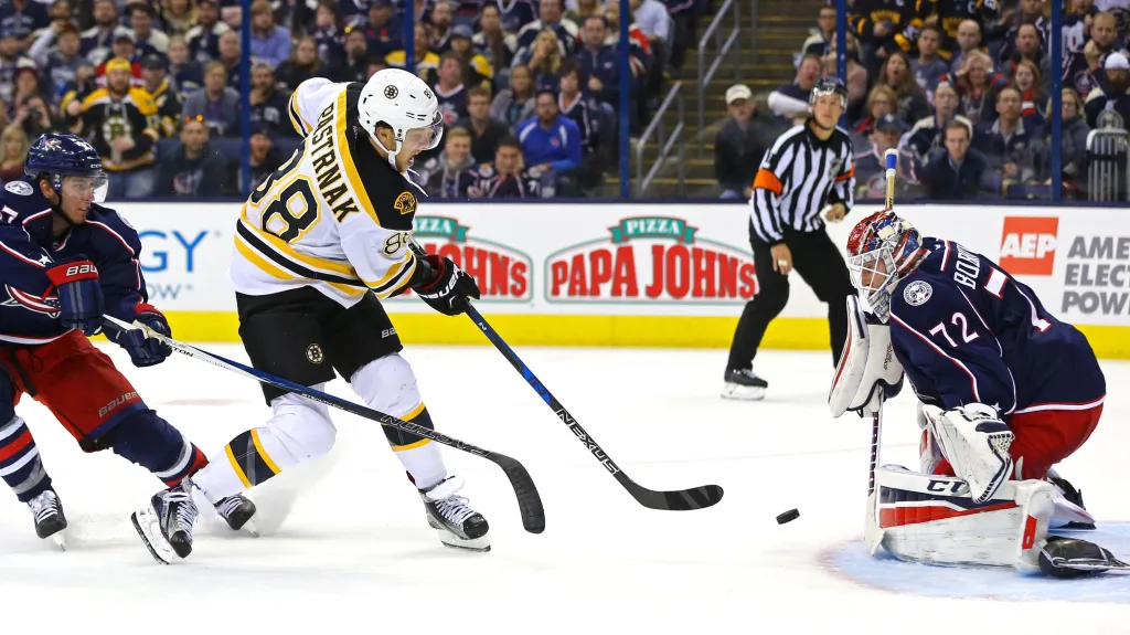 David Pastrňák v souboji proti brankáři Bobrovskému