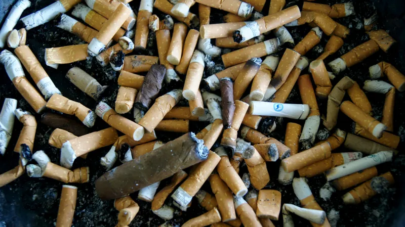 Co je třeba vědět před startem MS