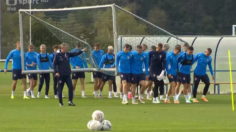 Lvíčata čeká v Hradci Králové zápas podzimu proti Litvě