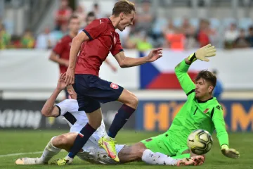 Česko 21 - Albánie 21