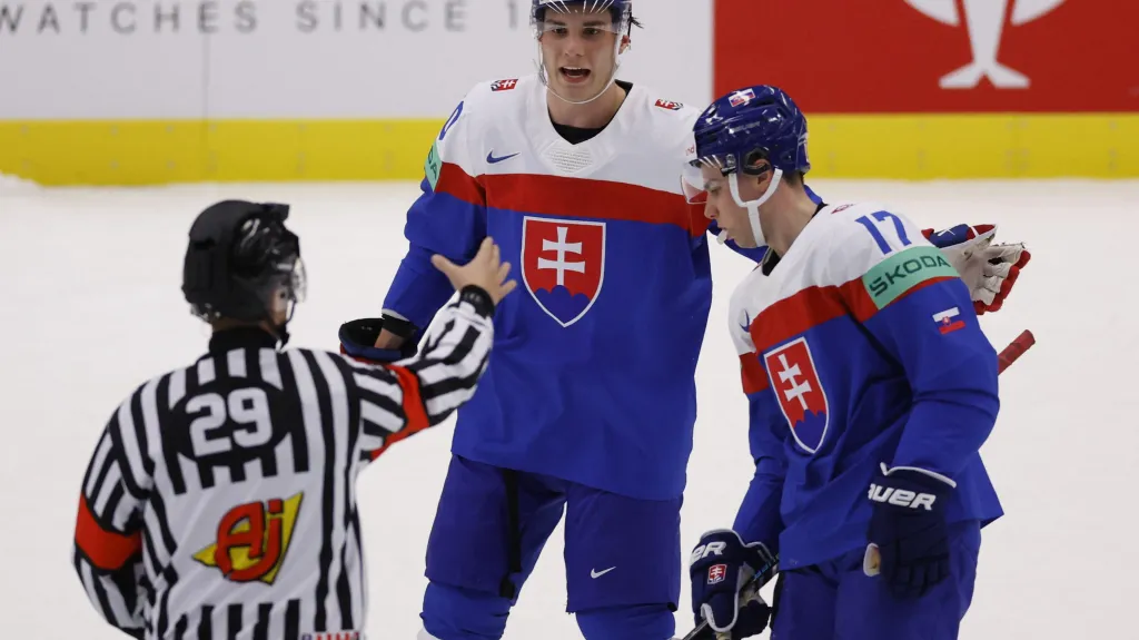 Slovenští hokejisté v diskuzi s rozhodčím