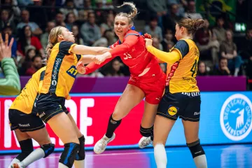 Utkání Švédsko – Česko