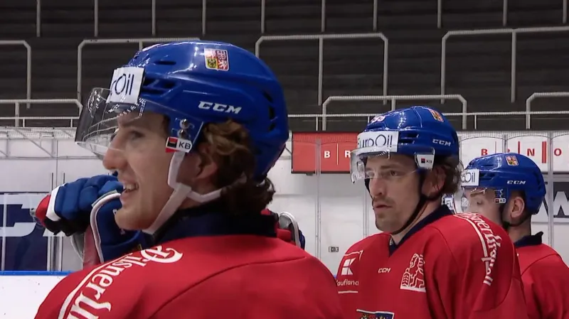 S národním týmem už trénovali extraligoví finalisté