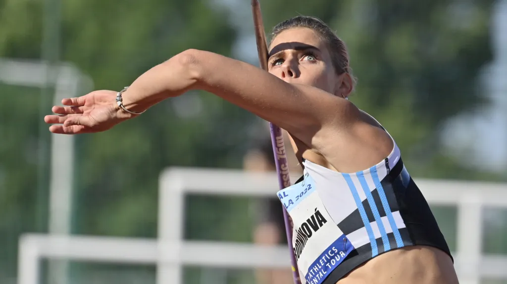 Nikola Ogrodníková