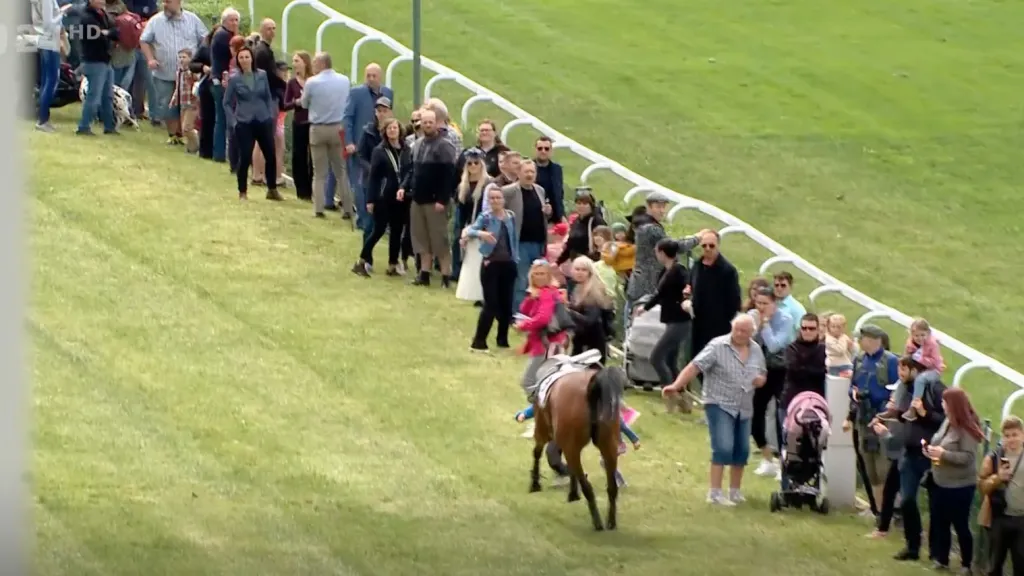 Neštěstí při dostizích v Pardubicích