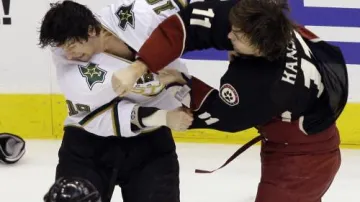 Martin Hanzal mstí Petra Průchu