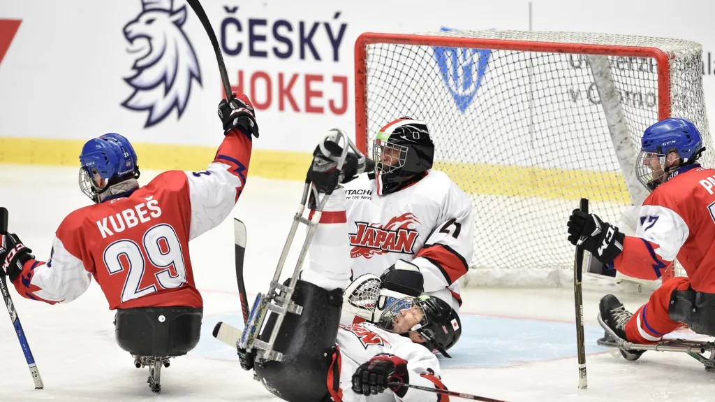 Utkání Česko - Japonsko
