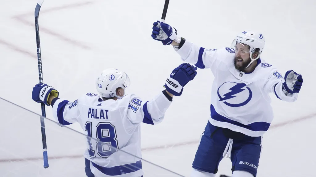 Ondřej Palát slaví