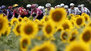 Záznam 15. etapy Tour de France