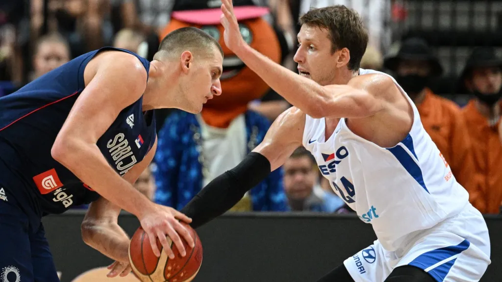 Utkání ČR - Srbsko