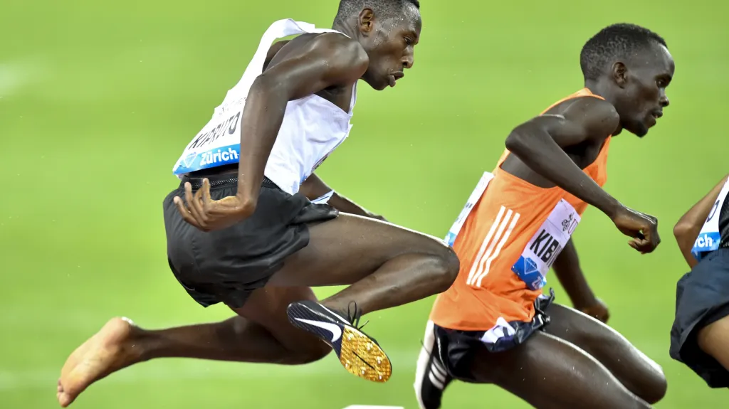 Conseslus Kiprut