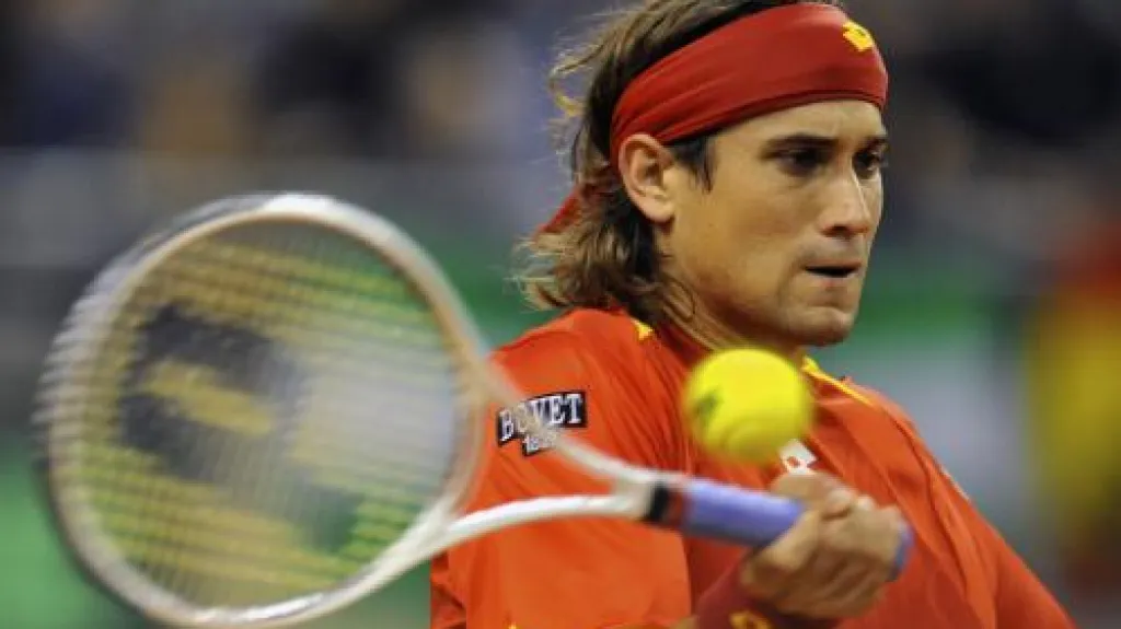 David Ferrer