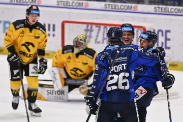 Hokejisté Vítkovic se radují v utkání proti Litvínovu