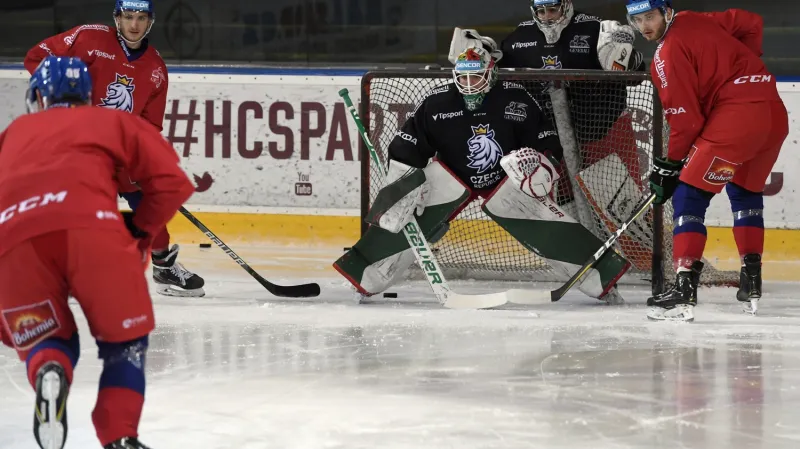 Roman Will na tréninku české reprezentace