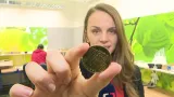 Neběžím sám, sama. Účastníci dostanou pamětní mince