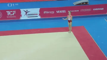 Gymnastce Vlkové finále ME nevyšlo