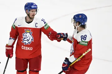 Roman Červenka (vlevo) a David Pastrňák