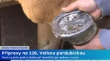 Podkovářská alchymie Ráliše před Velkou pardubickou