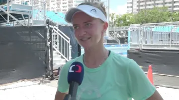 Krejčíkovou trápí vedro, Plíšková je v pohodě