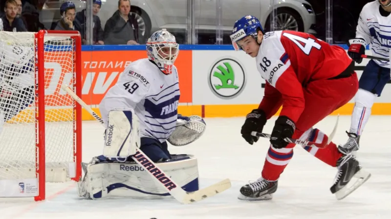 Zleva francouzský brankář Florian Hardy a český útočník Tomáš Hertl